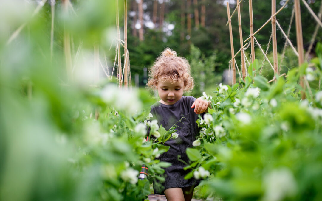 Portrait of small girl walking in vegetable garden, sustainable lifestyle concept.