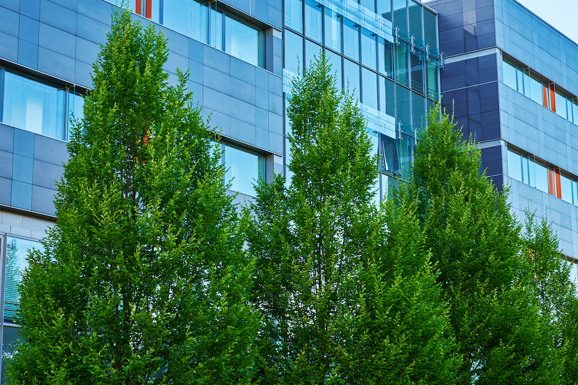 The Business Case for Sustainability in Commercial Real Estate 